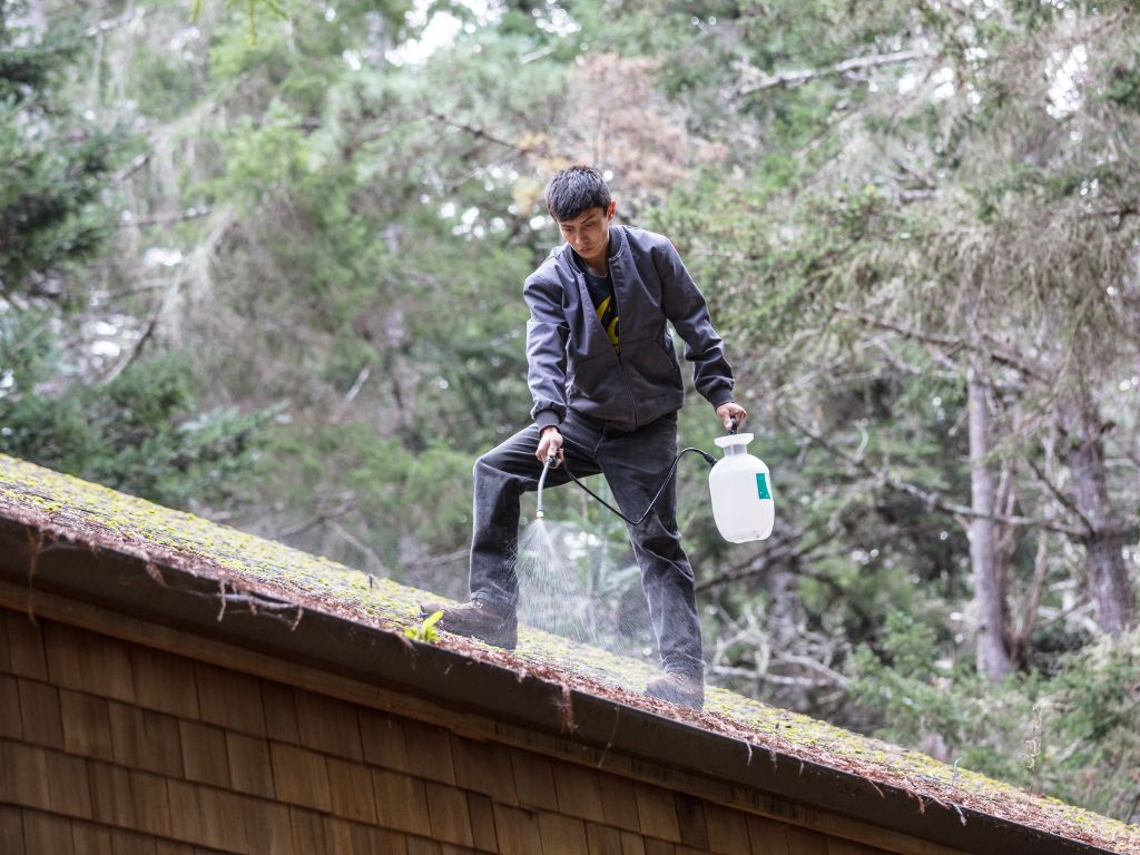 Chemical sprayer roof cleaning